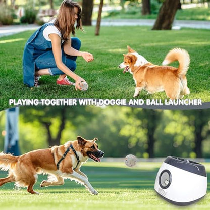 mekaple automatic dog ball launcher, upgraded interactive dog on a desk or shelf