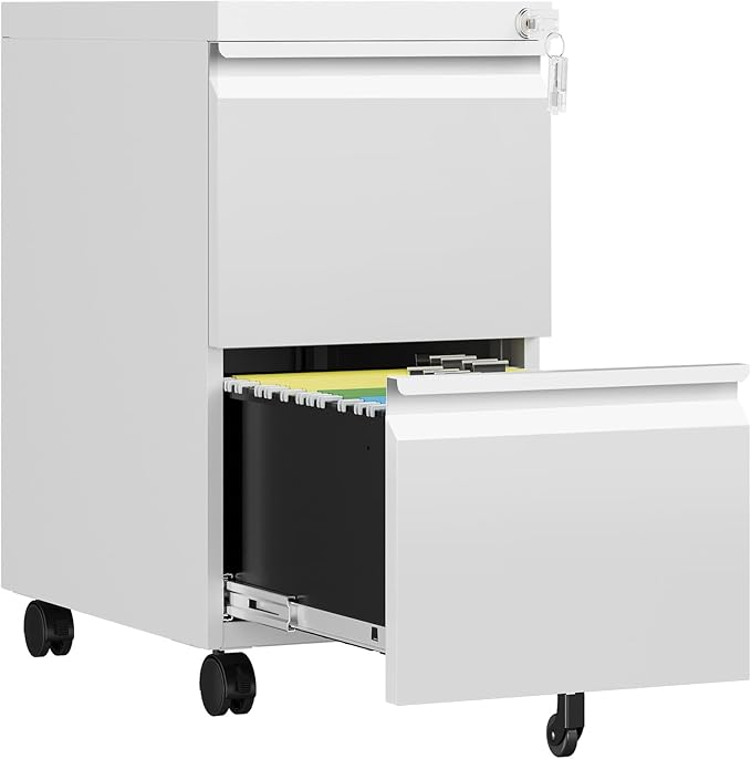 2 Drawer File Cabinet with Lock, Rolling File Cabinets by AFAIF