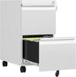 2 Drawer File Cabinet with Lock, Rolling File Cabinets by AFAIF