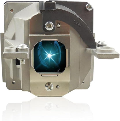 SORNEICDR SP LAMP-025 Replacement Projector Lamp Bulb Compatible by SORNEICDRIsProfession