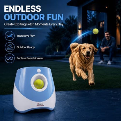 automatic ball launcher for dogs with 10 balls on a desk or shelf