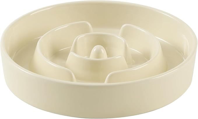 Ceramic 1.6 Cup Slow Feeder Dog Bowl by Havniva