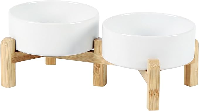 Ceramic Raised Double Bowls Set by Havniva