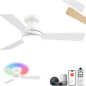 Homlit 42" RGB Ceiling Fan by Homlit