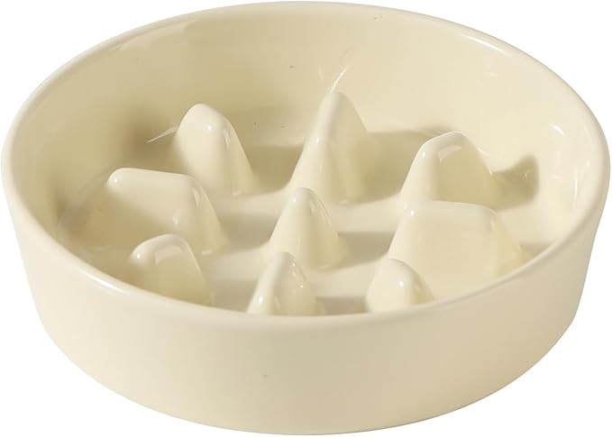 Ceramic 0.9 Cup Dog Bowl Slow Feeder, 6.1inch Slow Pet Food Dish by Havniva