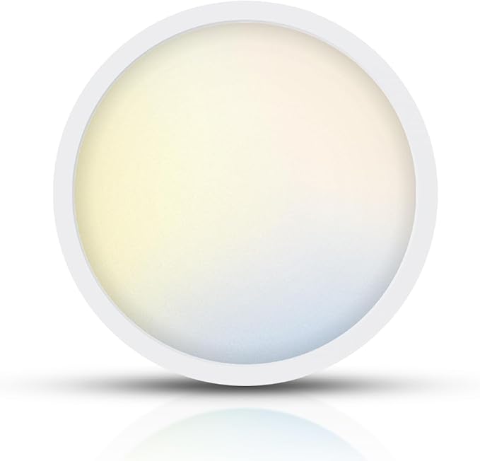 TOPELER 9inch Flush Mount Ceiling Light, Dimmable Ultra-Thin LED Ceiling Light by TOPELER
