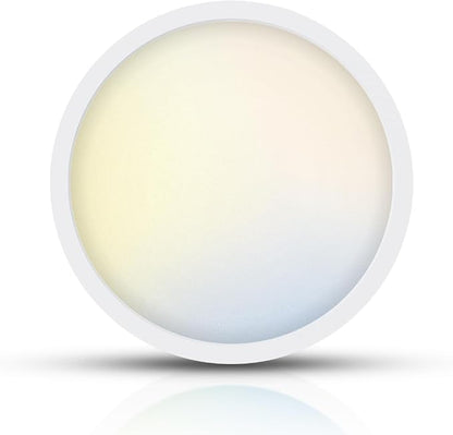 TOPELER 9inch Flush Mount Ceiling Light, Dimmable Ultra-Thin LED Ceiling Light by TOPELER
