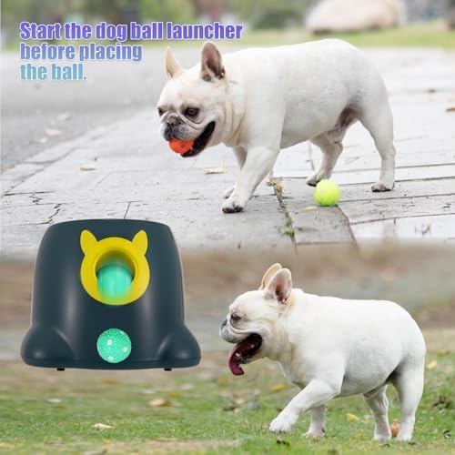 automatic ball launcher for dogs, dog fetch ball shown in use