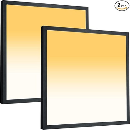 Mcacggo 2x2 FT LED Flush Mount Panel Light 5000K 4000K 3000K Selectable & by Mcacggo