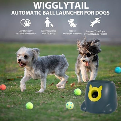 automatic ball launcher for dogs, dog fetch ball, package contents