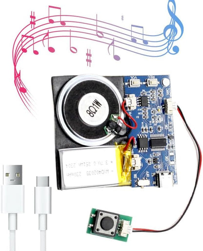 XLW Module, 16MB Push Button Activated Sound Module - Image 8