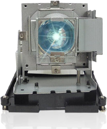 SORNEICDR BL-FU310B / 5811118436-SOT Replacement Projector Lamp Bulb Compatible by SORNEICDRIsProfession