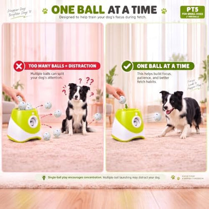 automatic ball launcher for medium dogs, 2.28-inch etpu, front angle view