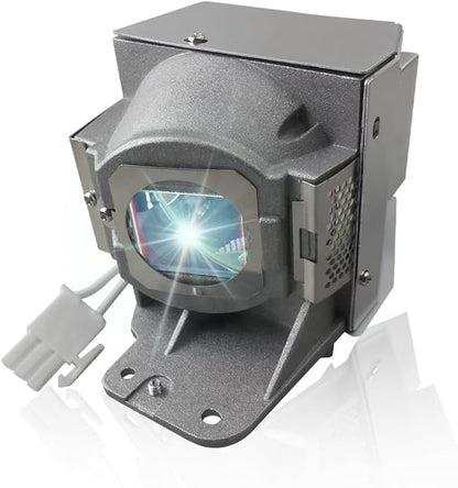 SORNEICDR RLC-079 Replacement Projector Lamp Bulb Compatible by SORNEICDRIsProfession