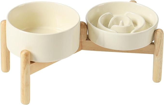 Ceramic 0.9 Cup Raised Slow Feeder Dog Bowl Set, Elevated 6.1inch Water Bowl by Havniva