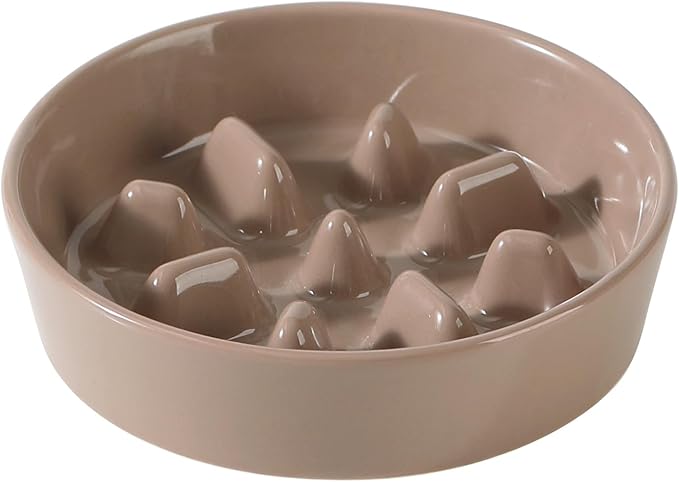 Ceramic 0.9 Cup Dog Bowl Slow Feeder, 6.1inch Slow Pet Food Dish by Havniva