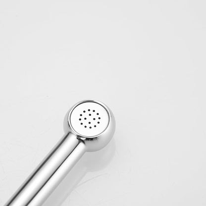 Chrome Handheld Bidet Sprayer for Toilet - Image 9