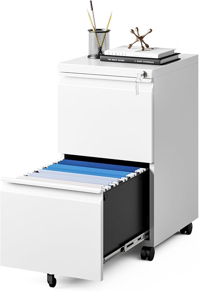 MIIIKO 2 Drawer File Cabinet on Wheels, Home Office Mobile File Drawers Under by MIIIKOOfficeFurniture