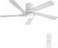 WINGBO 48 Inch Flush Mount DC Ceiling Fan by HomePage