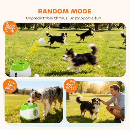 pawhut automatic dog ball launcher remote control for, front angle view