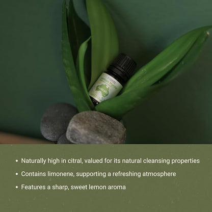 Lemon Myrtle Essential Oil - Image 6