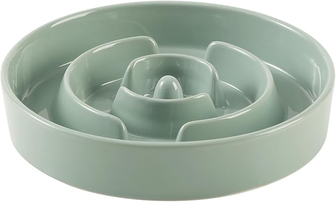 Ceramic 1.2 Cup Slow Feeder Dog Bowl by Havniva