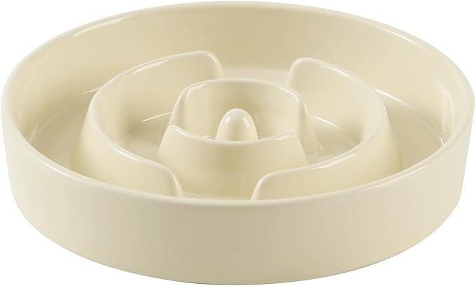 Ceramic 1.2 Cup Slow Feeder Dog Bowl by Havniva