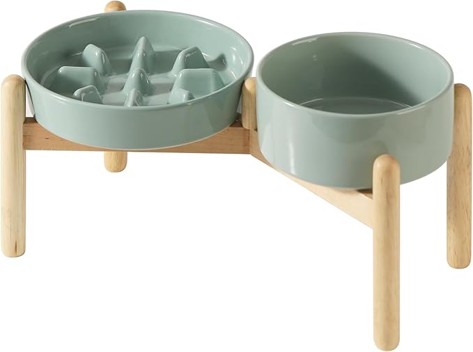 Ceramic 1.2 Cup Raised Slow Feeder Dog Bowl Set, Elevated 6.1inch Bowl and by Havniva
