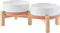 SPUNKYJUNKY Elevated Dog Bowls Ceramic, 5.1'' Dogs and Cat Food Water Bowls by SPUNKYJUNKY