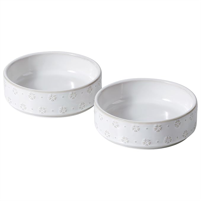 6.1inch Ceramic Set of 2 Dog and Cat Bowls, Food and Water Bowls by Havniva