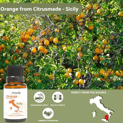 Orange Essential Oil - Image 3