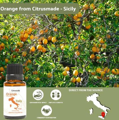 Orange Essential Oil - Image 3