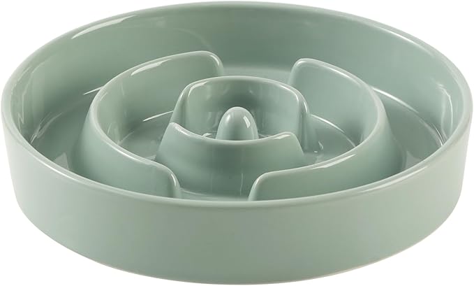 Ceramic 1.6 Cup Slow Feeder Dog Bowl by Havniva