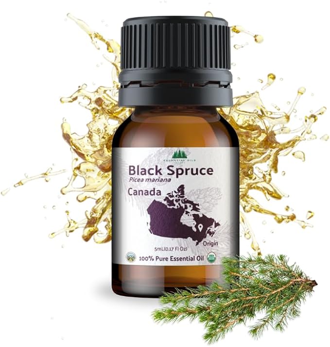 Organic Black Spruce Essential Oil from Canada by NaturePackaged