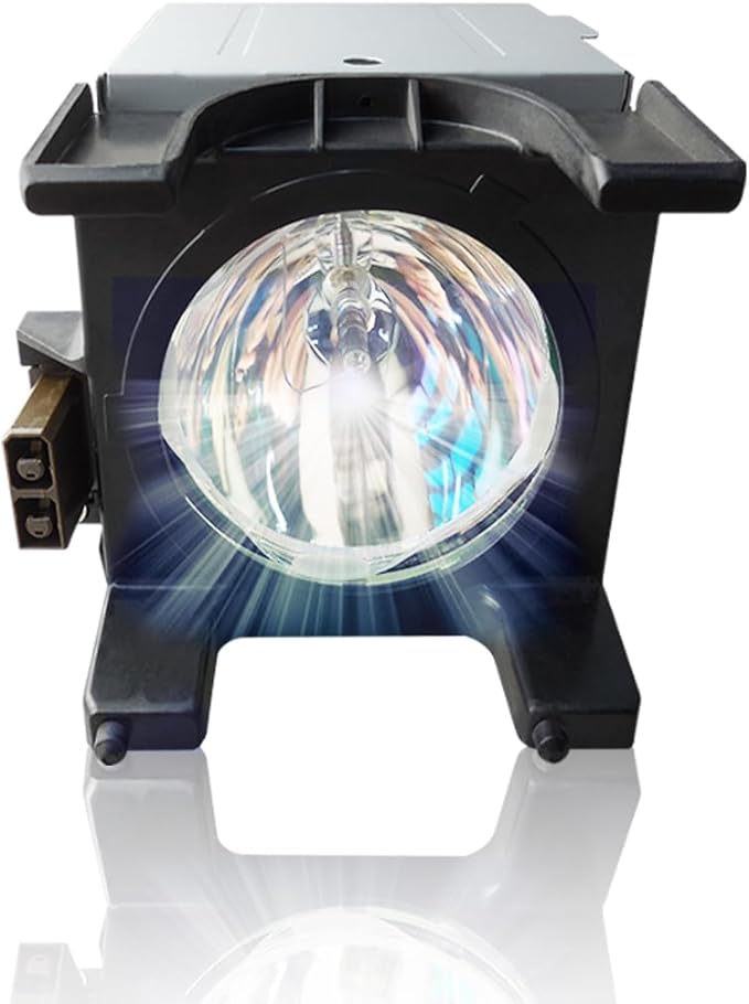 SORNEICDR Y196-LMP Replacement Projector Lamp Bulb Compatible by SORNEICDRIsProfession