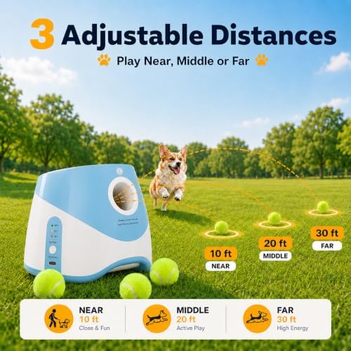 automatic dog ball launcher with 3 adjustable shoot shown in use