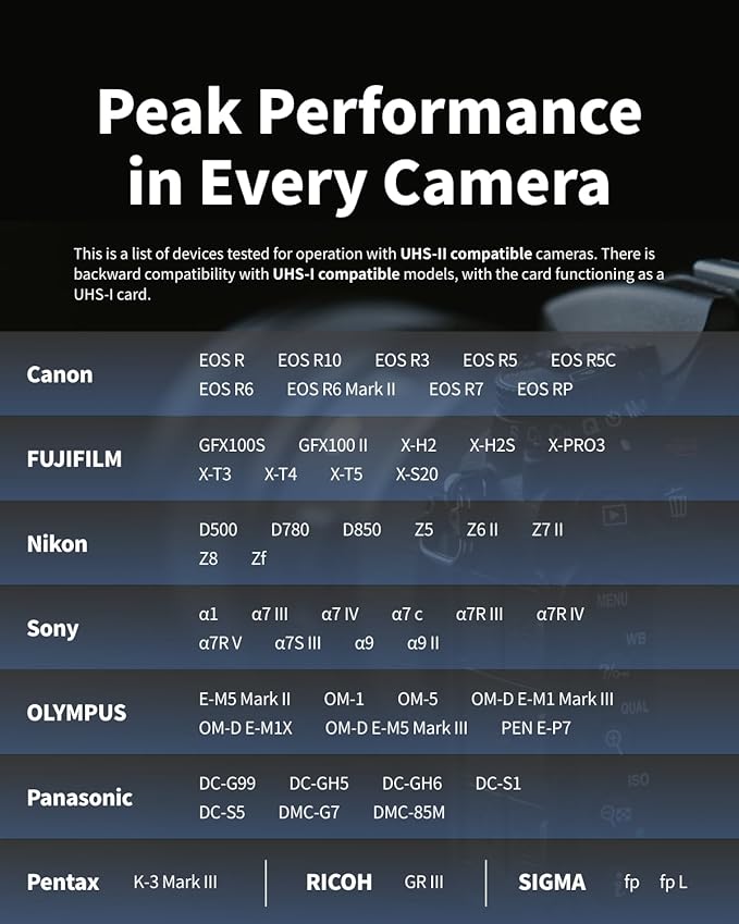 Nextorage 256GB SDXC UHS-II V90 SD Card Japanese Brand pSLC Max. Write Speed - Image 9
