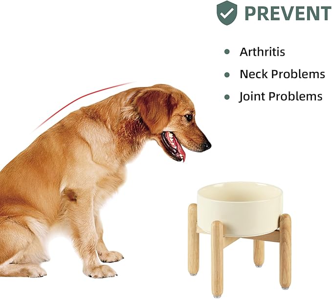 Ceramic 7.3inch Raised Dog Bowl Set, Elevated - Image 5