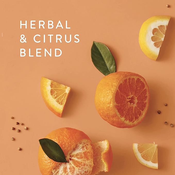 Thymes Pura Refills – 2 Pack of Oil Diffuser Scents – Long-Lasting Pura - Image 2