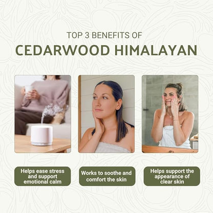 Cedarwood Himalayan Essential Oil - Image 2
