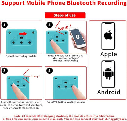Sound Module with Speaker, 16MB Voice Recorder Box, Support Bluetooth & MIC - Image 4