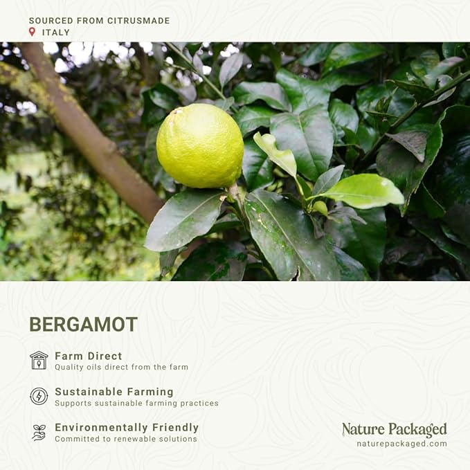 Bergamot Essential Oil - Image 3