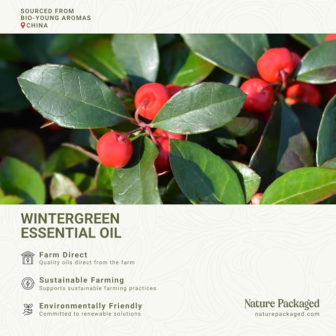 Wintergreen Essential Oil - Image 3