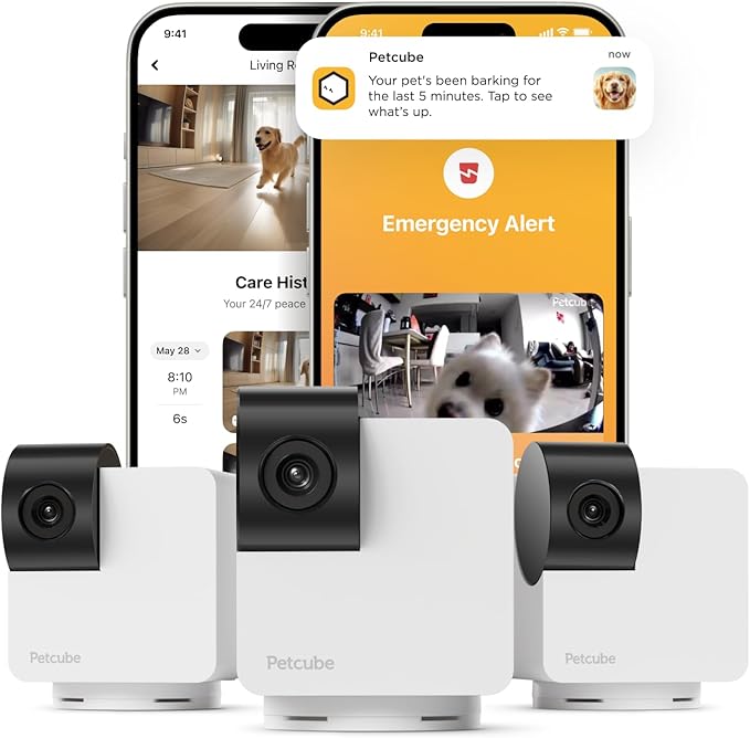 Petcube Cam 360 The Pack of 3 Camera | Ultimate Interactive WiFi Pet and Home by Petcube