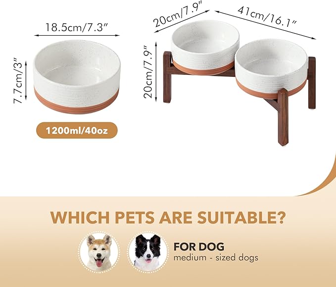 Ceramic 7.3inch Raised Double Dog Bowls Set - Image 2