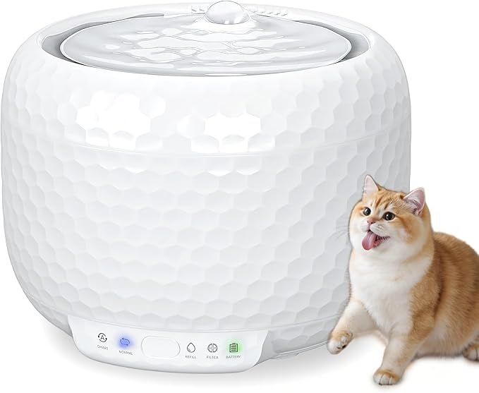 Cordless Cat Water Fountain by Petsuper