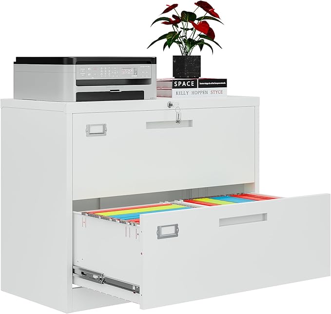 2 Drawer File Cabinets for Home Office, Metal Filing Cabinet by AFAIF
