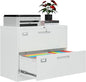2 Drawer File Cabinets for Home Office, Metal Filing Cabinet by AFAIF