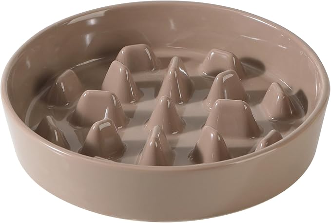 Ceramic 3.2 Cup Dog Bowl Slow Feeder, 9.5 inch Slow Pet Food Dish by Havniva