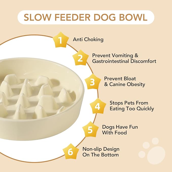 Ceramic 3.2 Cup Raised Slow Feeder Dog Bowl Set, Elevated 8.2inch Bowl and - Image 6